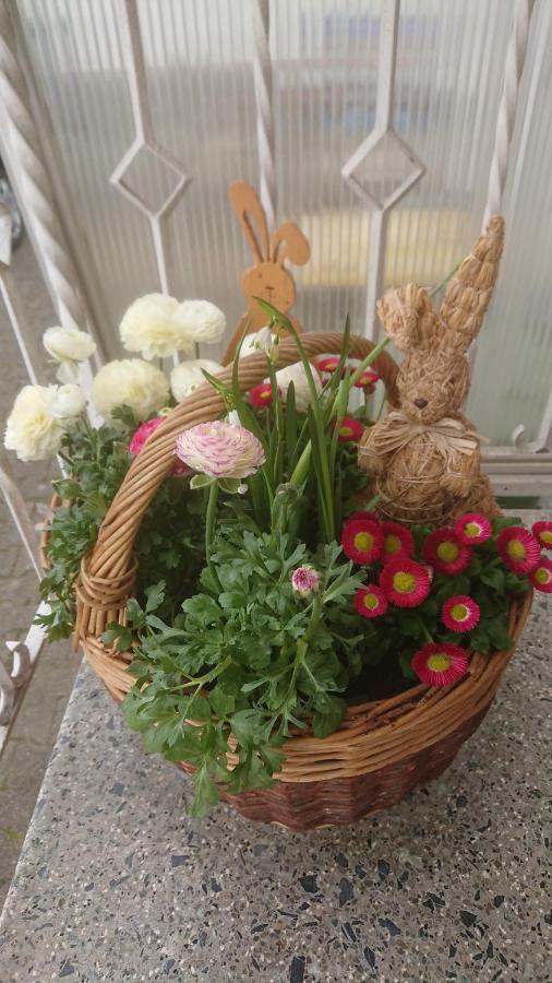 Apartment Ferienwohnung Vogt ซินส์ไฮม์ ภายนอก รูปภาพ
